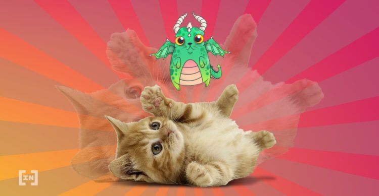 Kleine süße Katze mit einer virtuellen CryptoKitty